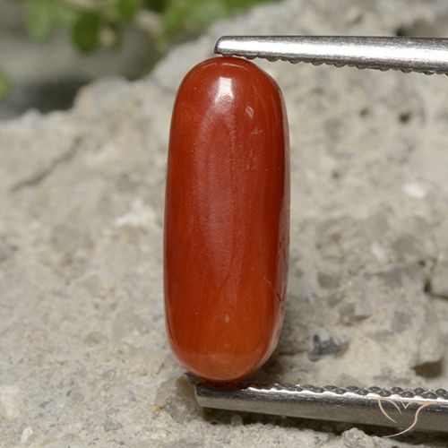2.13ct Natural Rojo medio Coral, Ovalada, Opaco
