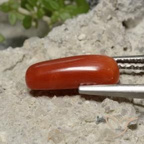Coral Rojo medio natural de 2.13 ct, Ovalada, Opaco