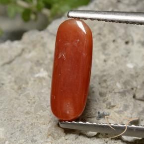 Coral Rojo medio natural de 2.13 ct, Ovalada, Opaco
