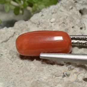 Coral Rojo medio natural de 2.26 ct, Ovalada, Opaco