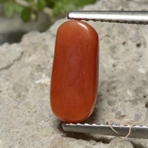 Coral Rojo medio natural de 2.26 ct, Ovalada, Opaco