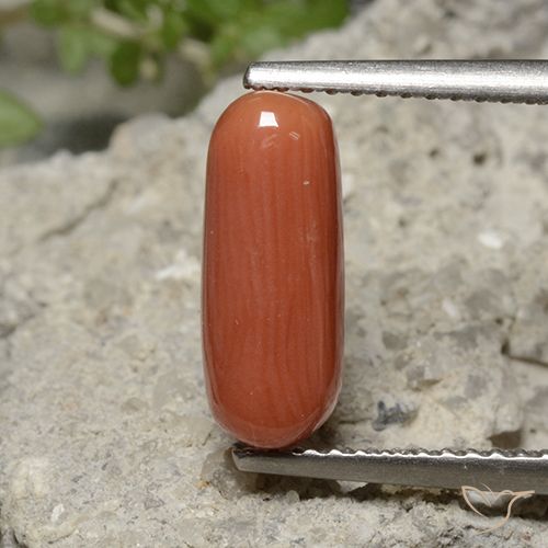 2.25ct Natural Naranja fuego Coral, Ovalada, Opaco