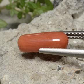 Coral Naranja fuego natural de 2.25 ct, Ovalada, Opaco