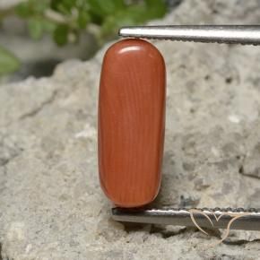 Coral Naranja fuego natural de 2.25 ct, Ovalada, Opaco