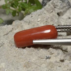 Coral Roja Anaranjada natural de 2.68 ct, Corte Óvalo, Opaco