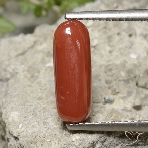 2.22ct Natural Roja Anaranjada Coral, Ovalada, Opaco