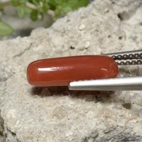 Coral Roja Anaranjada natural de 2.22 ct, Ovalada, Opaco
