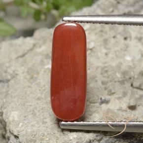 Coral Roja Anaranjada natural de 2.22 ct, Ovalada, Opaco