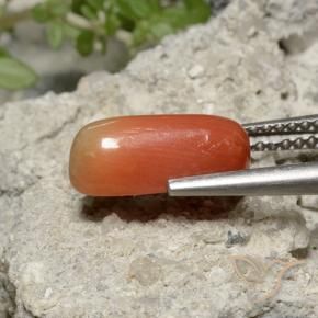 Coral Naranja fuego natural de 2.36 ct, Ovalada, Opaco