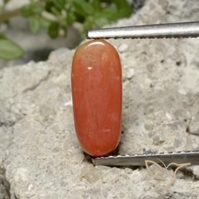 Coral Naranja fuego natural de 2.36 ct, Ovalada, Opaco