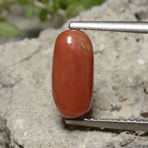 2.05ct Natural Naranja medio Coral, Ovalada, Opaco