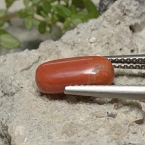 Coral Naranja medio natural de 2.05 ct, Ovalada, Opaco