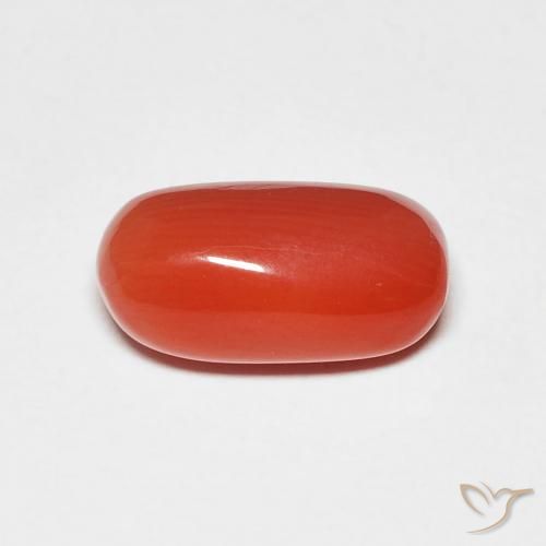 2.11ct Natural Rojo medio Coral, Ovalada, Opaco, Photo A