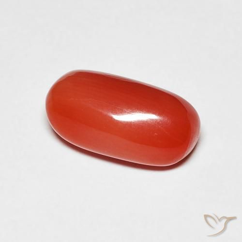 Coral Rojo medio natural de 2.11 ct, Ovalada, Opaco