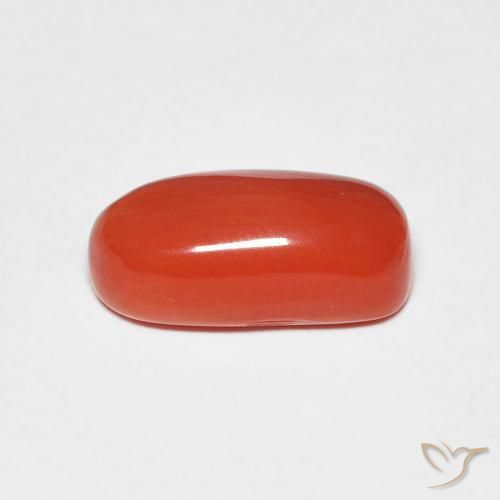 Coral Rojo medio natural de 2.11 ct, Ovalada, Opaco