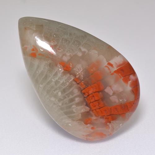 Coral multicolor natural de 8,29 ct, en forma de pera, translúcido