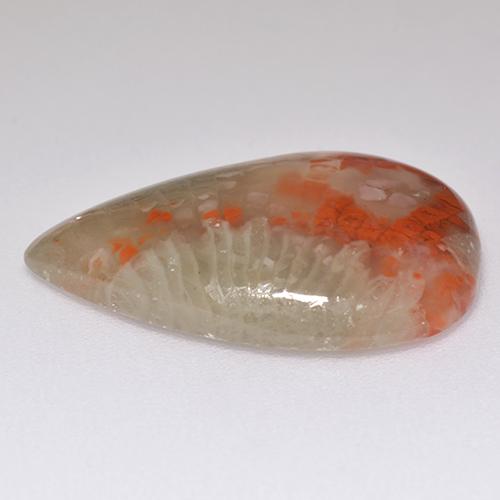 Coral multicolor natural de 8,29 ct, en forma de pera, translúcido