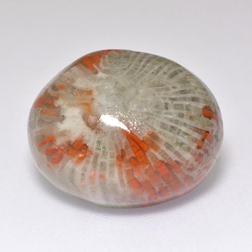 Coral multicolor natural de 13,38 ct, corte óvalo, translúcido