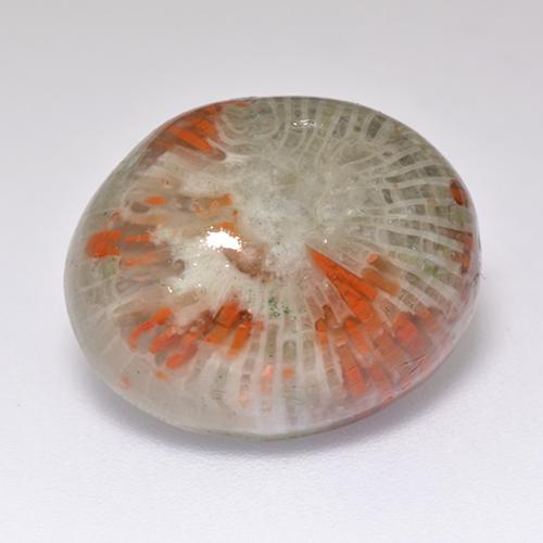 Coral multicolor natural de 13,38 ct, corte óvalo, translúcido