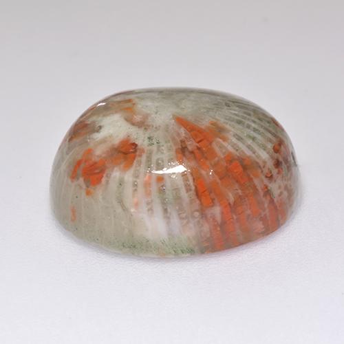 Coral multicolor natural de 13,38 ct, corte óvalo, translúcido