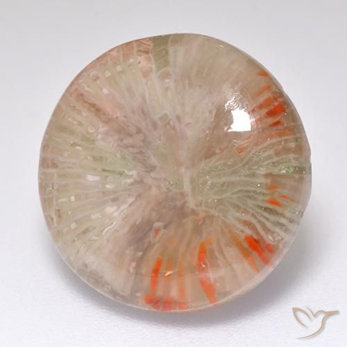 Coral Multicolor natural de 8.32 ct, Redondo, Translúcido