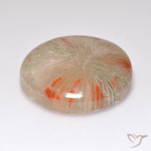 Coral Multicolor natural de 8.32 ct, Redondo, Translúcido
