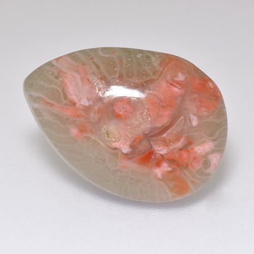 Coral multicolor natural de 5,97 ct, en forma de pera, translúcido
