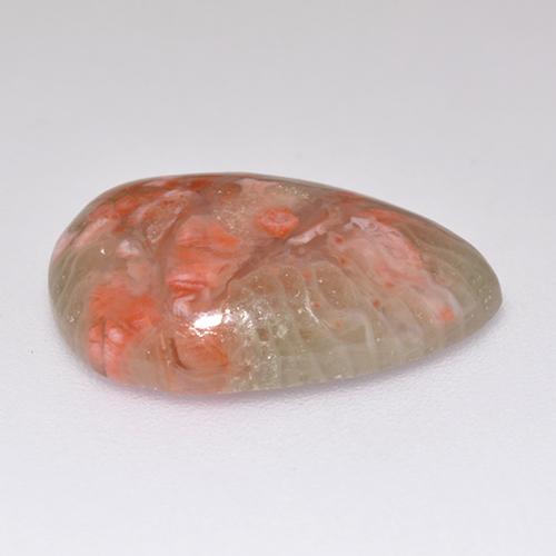 Coral multicolor natural de 5,97 ct, en forma de pera, translúcido