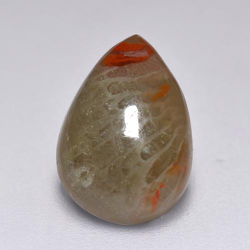 Coral multicolor natural de 2,23 ct, en forma de pera, translúcido