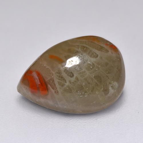 Coral multicolor natural de 2,23 ct, en forma de pera, translúcido