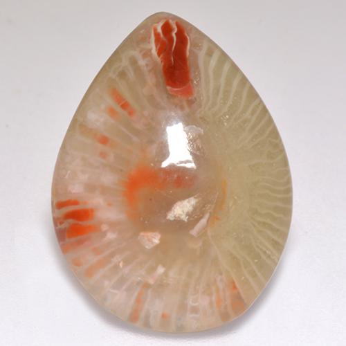 Coral multicolor natural de 9,83 ct, en forma de pera, translúcido