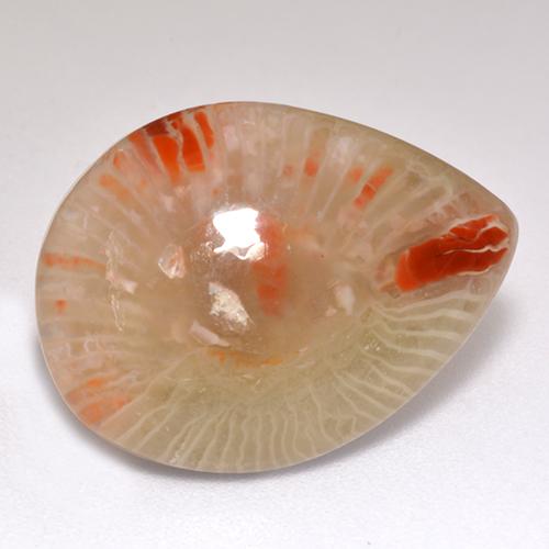 Coral multicolor natural de 9,83 ct, en forma de pera, translúcido