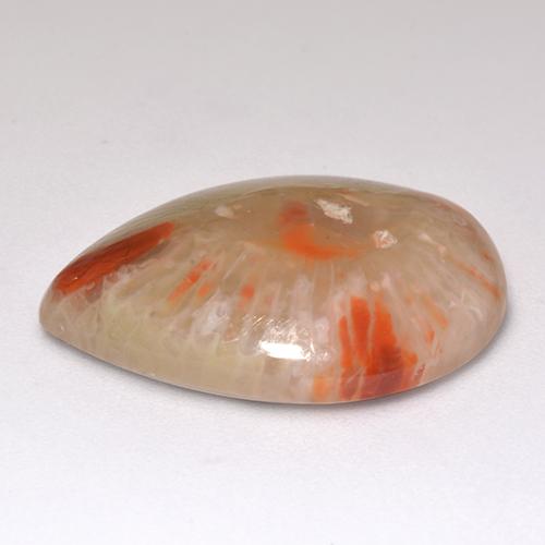 Coral multicolor natural de 9,83 ct, en forma de pera, translúcido