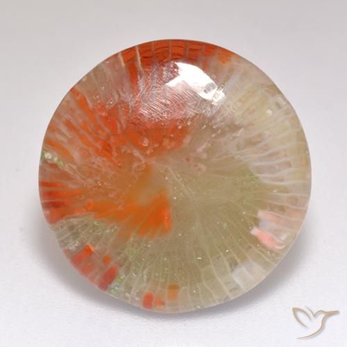 9.29ct Natural Multicolor Coral, Redondo, Translúcido