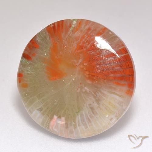 Coral Multicolor natural de 9.29 ct, Redondo, Translúcido