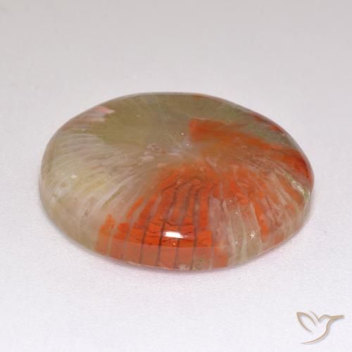 Coral Multicolor natural de 9.29 ct, Redondo, Translúcido