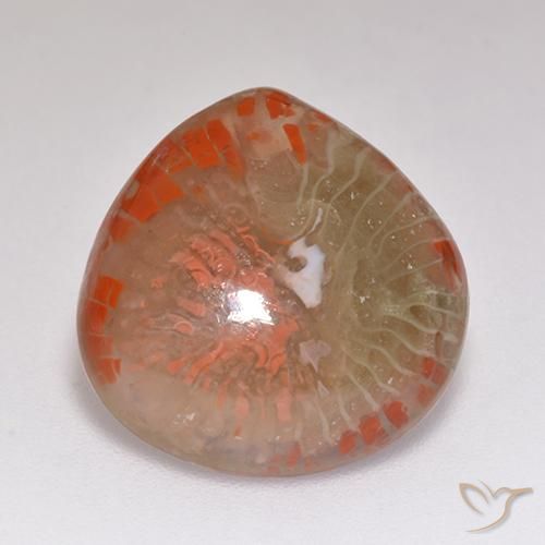9.67ct Natural Multicolor Coral, En forma de pera, Translúcido