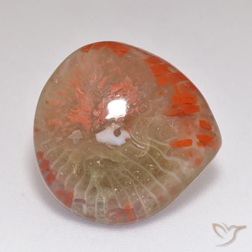 Coral Multicolor natural de 9.67 ct, En forma de pera, Translúcido