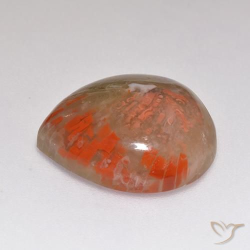 Coral Multicolor natural de 9.67 ct, En forma de pera, Translúcido
