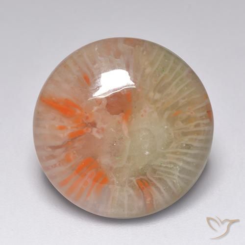 7.51ct Natural Multicolor Coral, Redondo, Translúcido