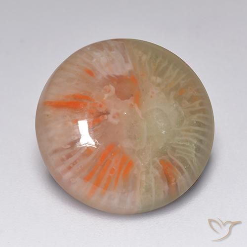 Coral Multicolor natural de 7.51 ct, Redondo, Translúcido