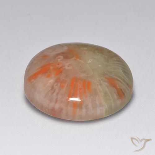 Coral Multicolor natural de 7.51 ct, Redondo, Translúcido
