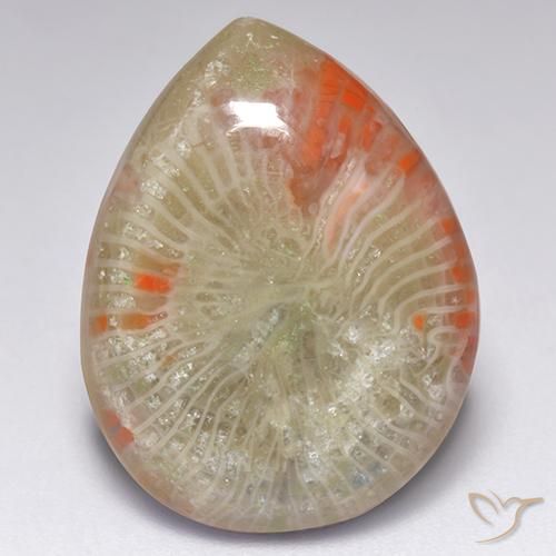 Coral multicolor natural de 9,84 ct, en forma de pera, translúcido