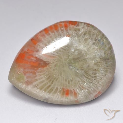 Coral multicolor natural de 9,84 ct, en forma de pera, translúcido