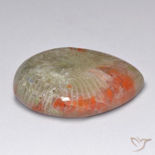 Coral multicolor natural de 9,84 ct, en forma de pera, translúcido