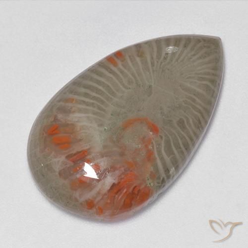 15.23ct Natural Multicolor Coral, En forma de pera, Translúcido