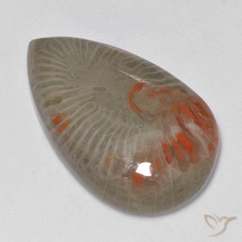 Coral Multicolor natural de 15.23 ct, En forma de pera, Translúcido