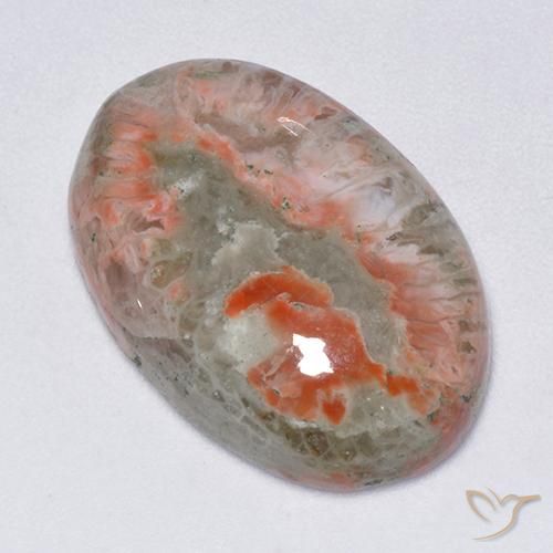 13.71ct Natural Multicolor Coral, Ovalada, Translúcido