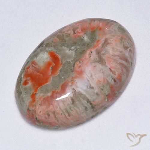 Coral Multicolor natural de 13.71 ct, Ovalada, Translúcido