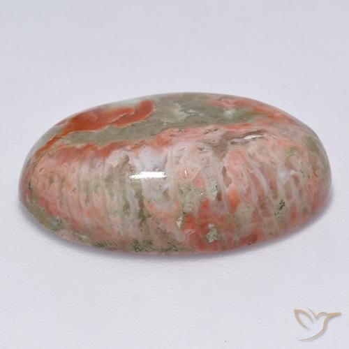 Coral Multicolor natural de 13.71 ct, Ovalada, Translúcido